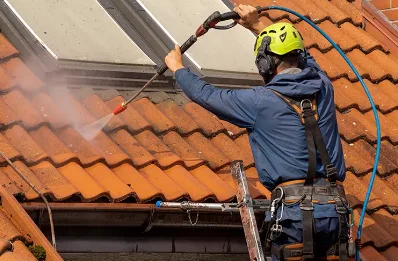 Démoussage et hydrofuge de toiture à Charnas